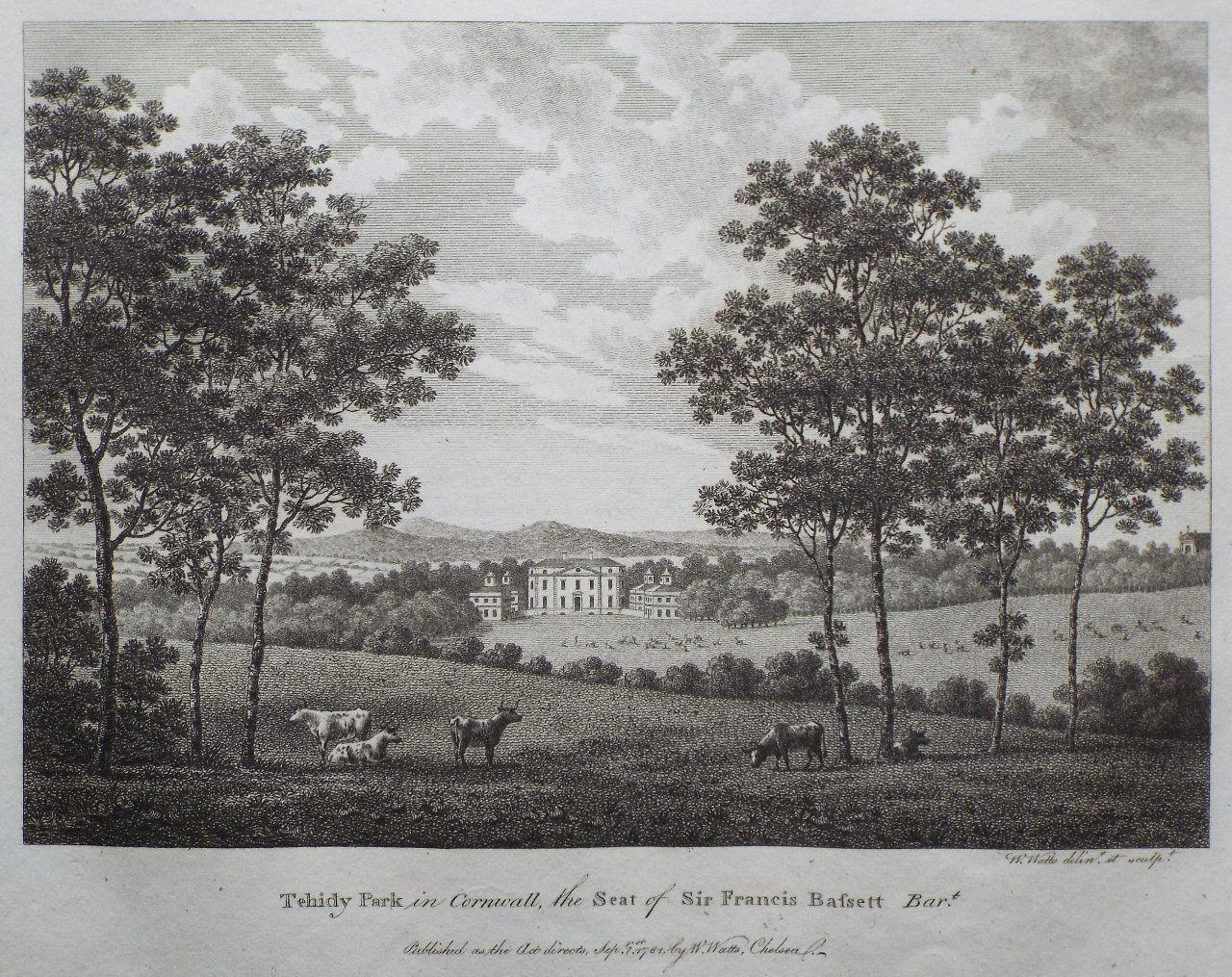 Print - Tehidy Park in Cornwall, the Seat of Sir Francis Bassett Bart. - Watts